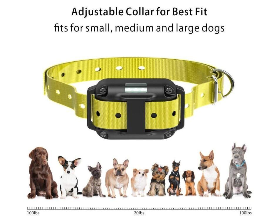 Collier de dressage chien 800m écran LCD modes choc vibration son collier rechargeable imperméable