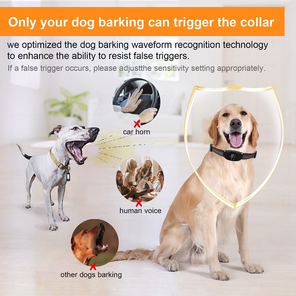 Collier anti-aboiement automatique rechargeable pour chien, efficace, étanche, à double mode d’entraînement