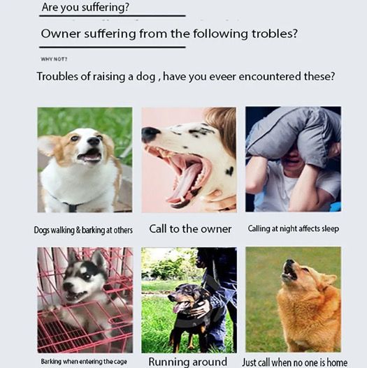 Clôture Électronique Sans Fil Animaux avec Dispositif Intelligent Entraînement Chiens et Collier Ergonomique