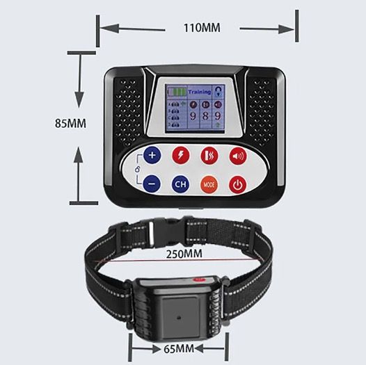 Clôture Électronique Sans Fil Animaux avec Dispositif Intelligent Entraînement Chiens et Collier Ergonomique