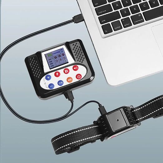 Clôture Électronique Sans Fil Animaux avec Dispositif Intelligent Entraînement Chiens et Collier Ergonomique